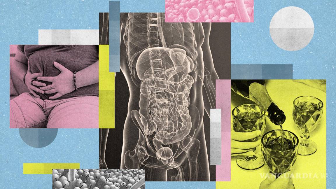 Seis formas en que el alcohol puede afectar tu salud intestinal Seis formas en que el alcohol puede afectar tu salud intestinal