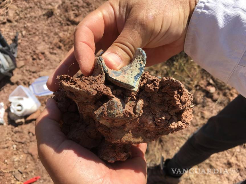 Muela superior de un mamífero Brontothere de origen asiático. $!Muela superior de un mamífero Brontothere de origen asiático.