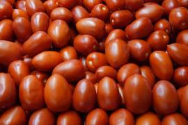 El Departamento de Comercio de Estados Unidos anunció este lunes que la mayoría de los tomates importados de México a Estados Unidos estarán sujetos a aranceles del 20,91% a partir del 14 de julio, ya que se retira del acuerdo de 2019 que dejaba en suspenso esos aranceles. En la imagen kilos de jitomates en un puesto del Mercado de la Merced.