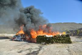 Autoridades incineran drogas y destruyen objetos del delito en Saltillo como parte de un esfuerzo coordinado en seguridad.