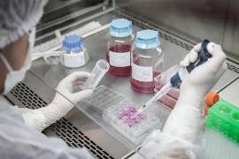 Actualmente, se estudia la técnica utilizada para crear las vacunas contra el Covid-19 para encontrar curas contra el cáncer y otras enfermedades infecciosas.