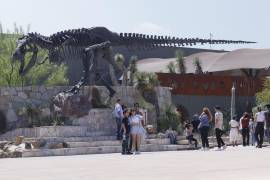 Por falta de electricidad, el Museo del Desierto se vio obligado a cerrar algunas de sus áreas.