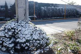 La subsecretaría de Protección Civil de Coahuila insistió a la población que se encuentran habilitados los refugios temporales en todas las regiones del estado, y que ante cualquier emergencia se puede solicitar ayuda al sistema telefónico de emergencias 911.
