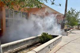 Personal del sector salud realizó inspecciones en escuelas para identificar y eliminar riesgos sanitarios, como la presencia de fauna nociva.