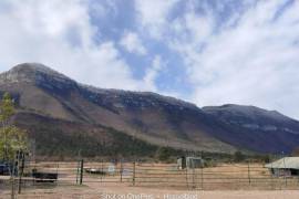 La Sierra Maderas del Carmen fue cubierta por una inesperada nevada mientras se combate el incendio forestal.