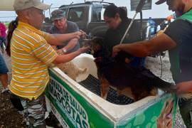 Los vecinos de la colonia Los Montes disfrutan de servicios gratuitos para sus mascotas, como vacunación y baños medicados.