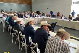 El sector ganadero de Coahuila exhortó a autoridades estatales y federales a intervenir con urgencia para reactivar la exportación de ganado coahuilense a Estados Unidos y frenar el ingreso ilegal de reses por la frontera sur.