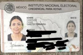 La madre de las dos menores acusó a la niñera de haber tenido una “omisión demasiado grave”.