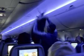 Foto tomada de video de TMX, en el que se ve a un pasajero tratando de atrapar a una paloma en un avión en Minneapolis.