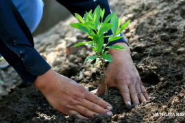 Autoridades estatales darán inicio a la jornada de reforestación masiva en los 38 municipios de Coahuila.