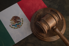 Juez otorga suspensión provisional a orden de arresto contra Virginia León