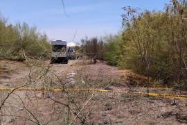 El colectivo señaló que los restos fueron encontrados a una distancia entre sí cercana a los 100 metros.