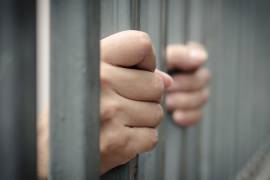 Siete presuntos integrantes del Cártel del Pacífico, entre ellos un menor de edad, fueron detenidos en el municipio de Mulegé, Baja California Sur.