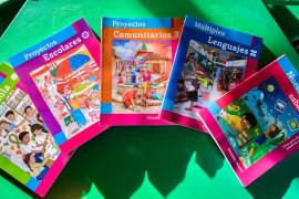 En la próxima reunión con la SEP, los padres solicitarán la inclusión en los programas educativos de aspectos como la corrección ortográfica, contenidos sexuales, ideología política y, fundamentalmente, la atención a la salud mental de alumnos y docentes.