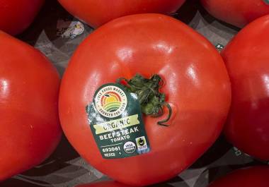 Un impuesto, como un arancel, es un tributo sobre las importaciones, y este afectaría los miles de millones de kilogramos de tomates que Estados Unidos importa de México cada año. FOTO: