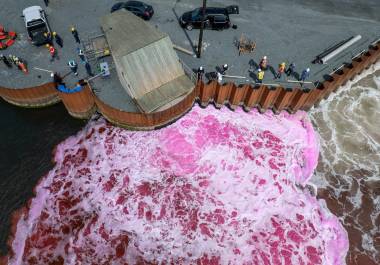 Colorante rosado arrojado en la Ensenada Tufts en el puerto de Halifax en Nueva Escocia, Canadá; elproyecto de Planetary Technologies prueba si el añadir minerales alcalinos al océano puede ayudar a reducir la velocidad del cambio climático.