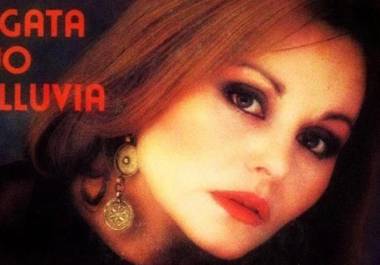 Aunque muchos creen que Juan Gabriel fue el autor de “La Gata Bajo La Lluvia”, la verdad es muy distinta. Este himno del desamor, lanzado en 1981, nació de la pluma del español Rafael Pérez-Botija.
