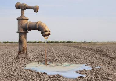 La Laguna: campo seco, economía herida