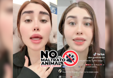 Naomi Sofía Figueroa, exfuncionaria municipal de Guadalajara, desató polémica tras un video viral donde afirmó haber sacrificado a un perro en un ritual religioso; luego ofreció disculpas y negó sus declaraciones.